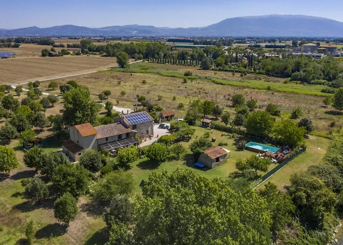 River Melody بيتونا