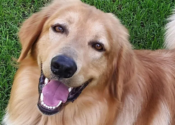 River Melody Casa de Campo