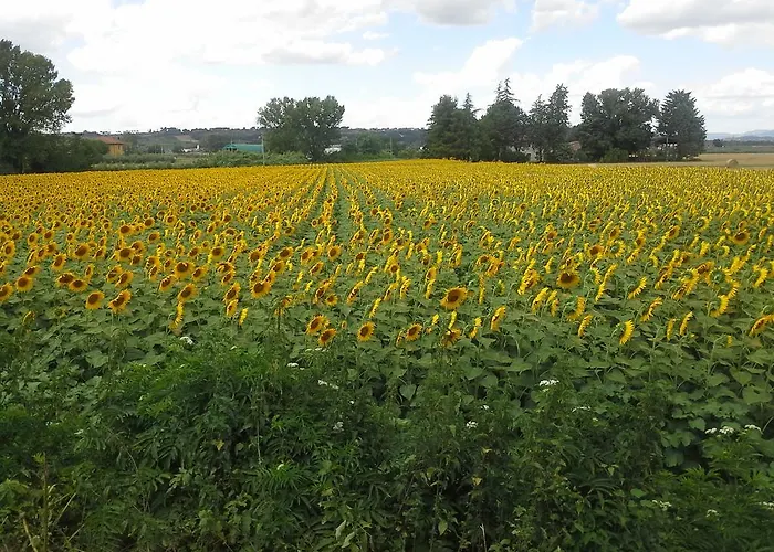 River Melody Bettona