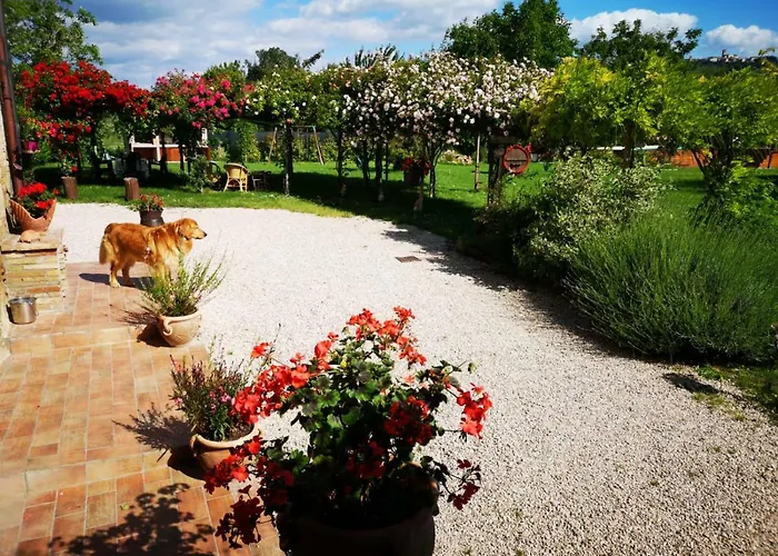 Casa de Campo River Melody Bettona