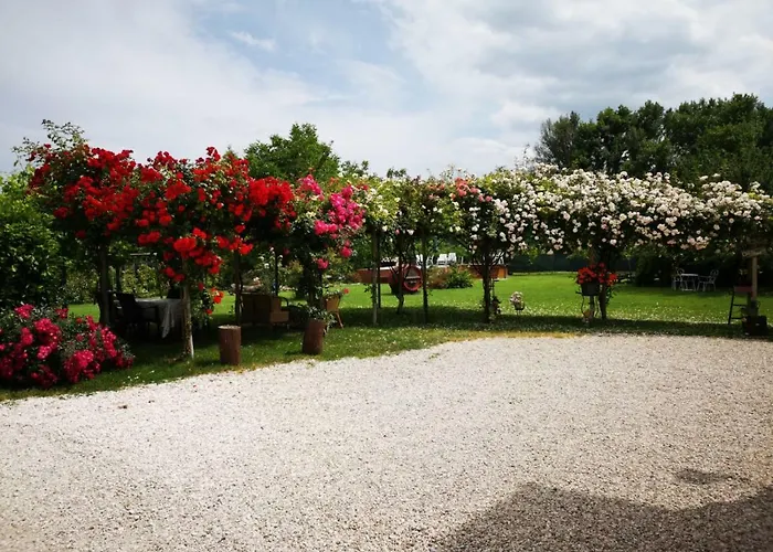 منزل ريفي River Melody *