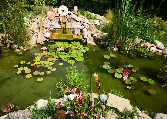 River Melody * بيتونا