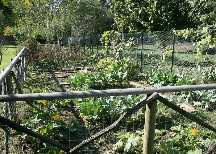 River Melody Bettona